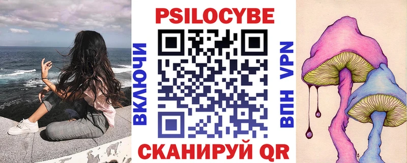 Купить закладки  Новоалександровск  Галлюциногенные грибы Magic Shrooms 